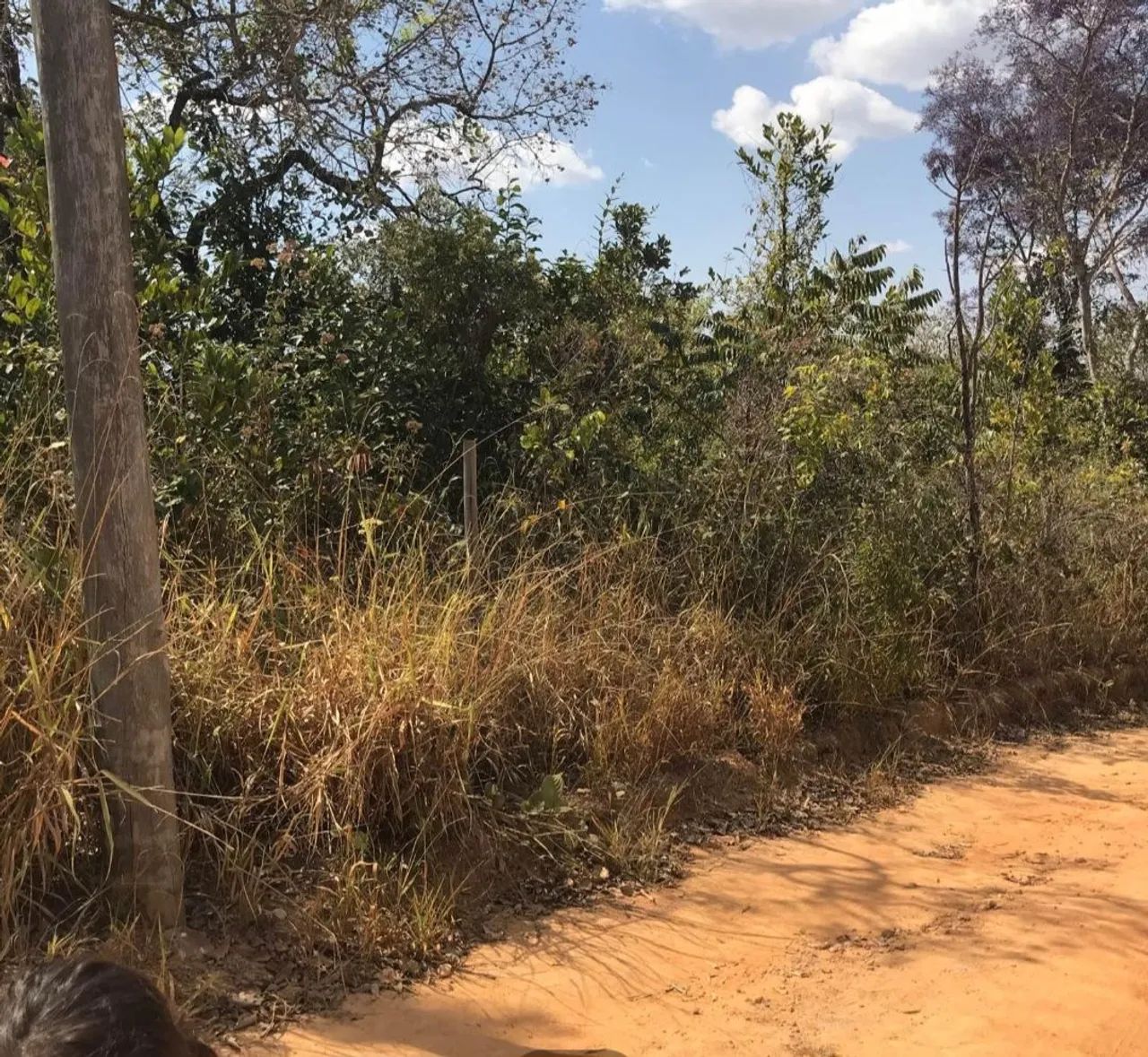 Chácara em Esmeraldas/ Andiroba - Foto 3