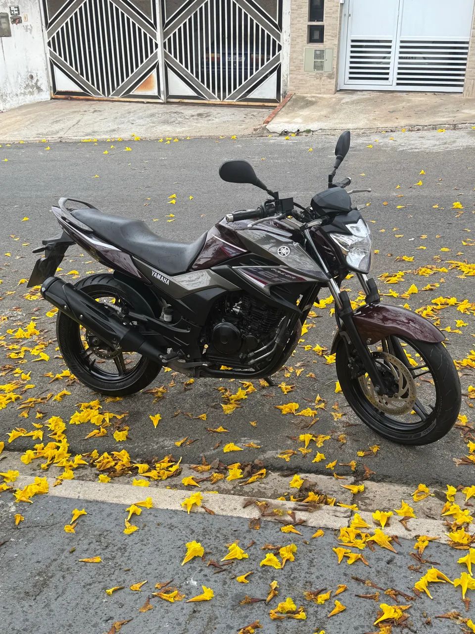 Vendo fazer 250 blueflex 2017  - Foto 3