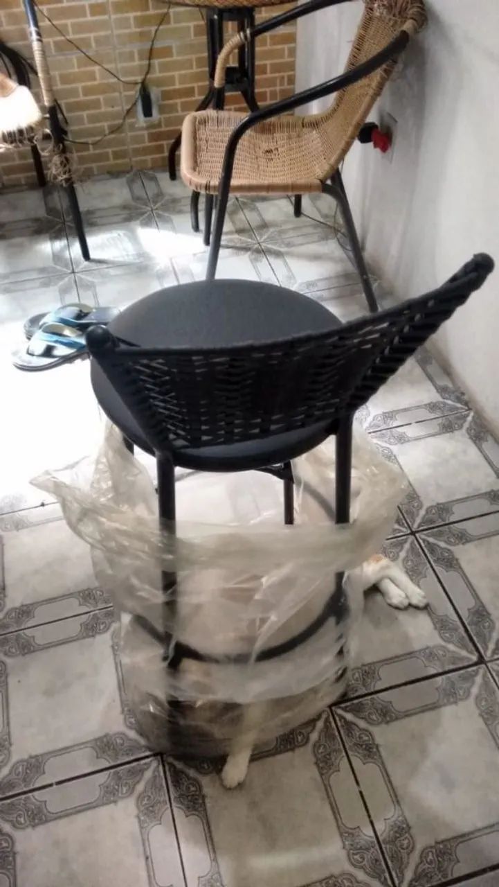 Banqueta so tem uma nova  - Foto 5
