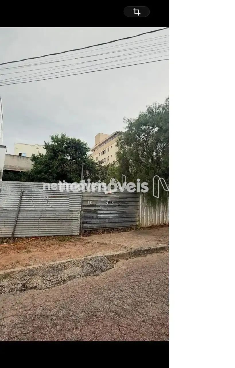 Lote de 420 m²; no Castelo - Foto 2