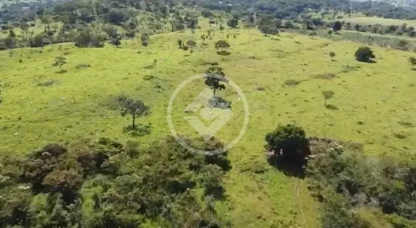 Fazenda Cachoeira do Veríssimo codigo: 75992 - Foto 3
