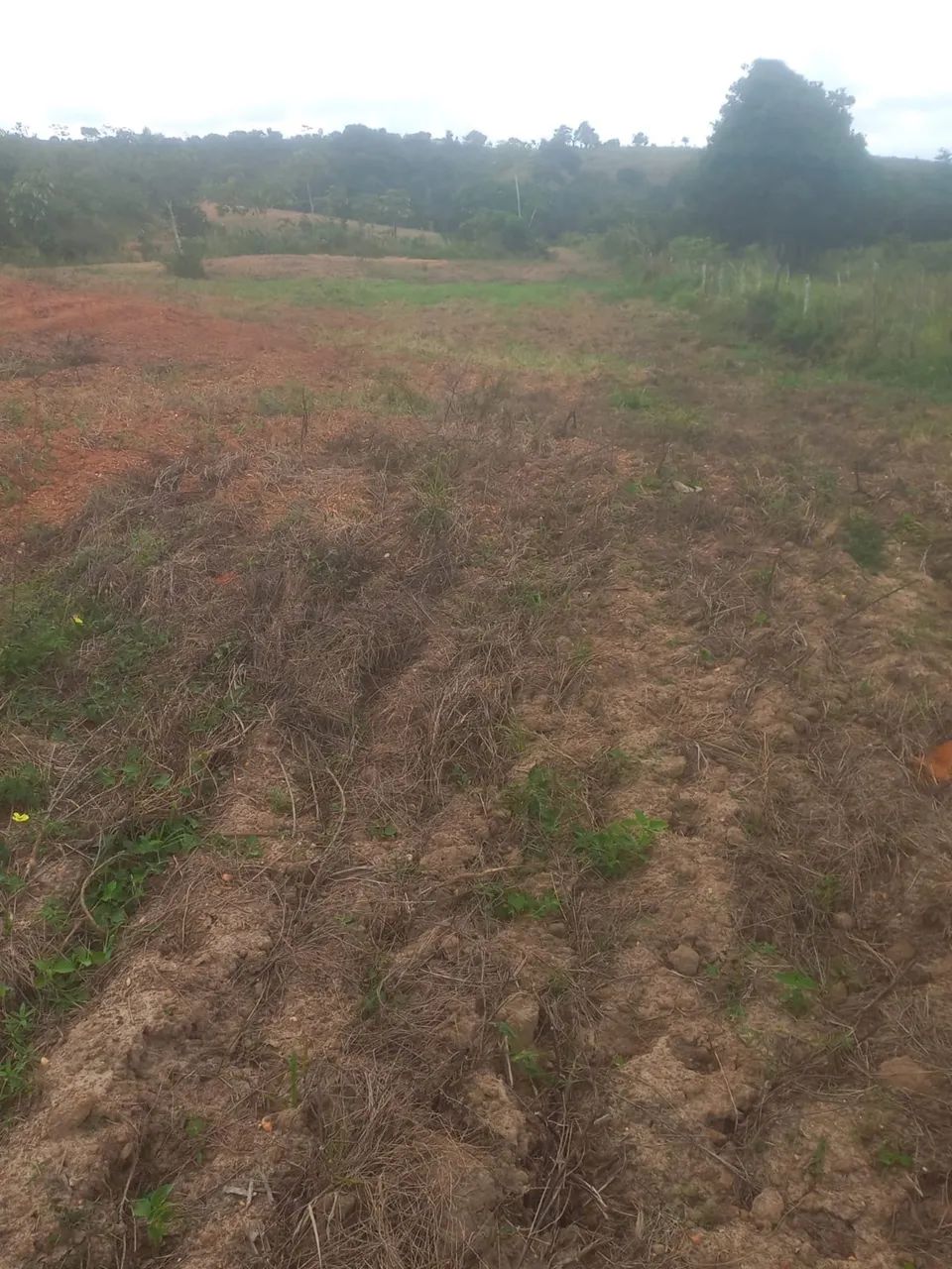 Terreno em salgado  - Foto 3