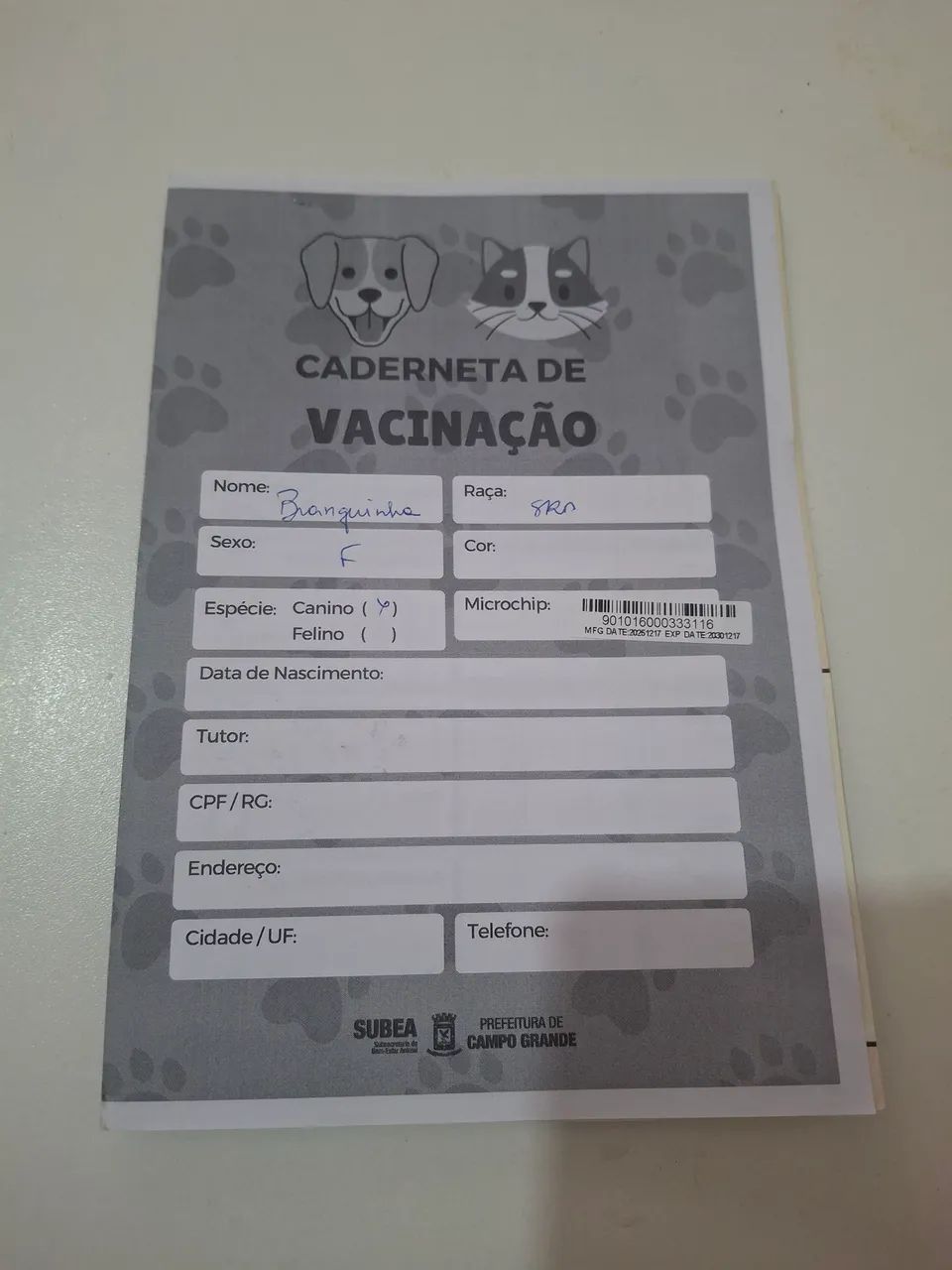 Cachorra castrada (2) - Foto 2
