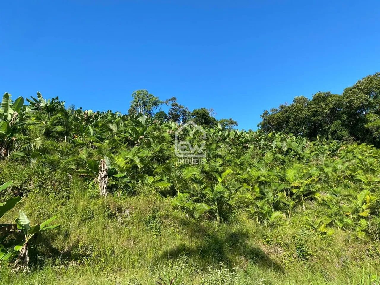 Sítio com Área Total de 101.850m² em Massaranduba, SC - Foto 2