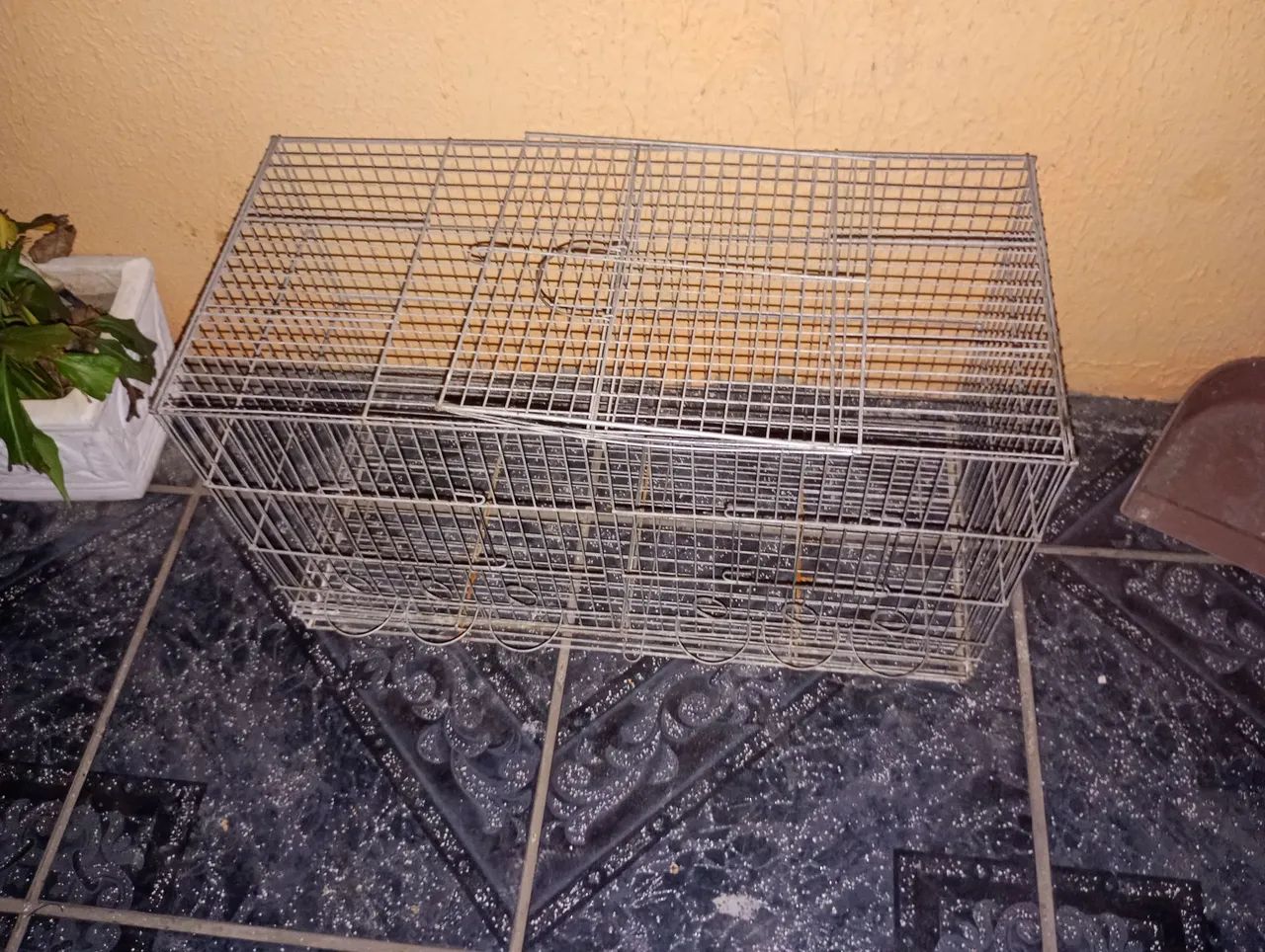 Gaiola  - Foto 2