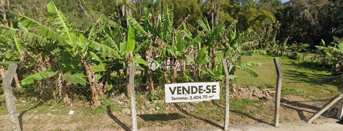 Ótimo Terreno 500 metros da SC 401. - Foto 3