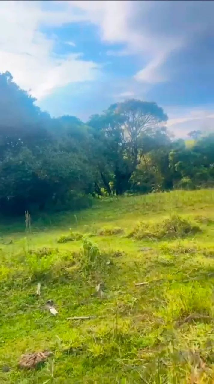 ? Oportunidade  SUA CHÁCARA em Joanópolis! - Foto 5