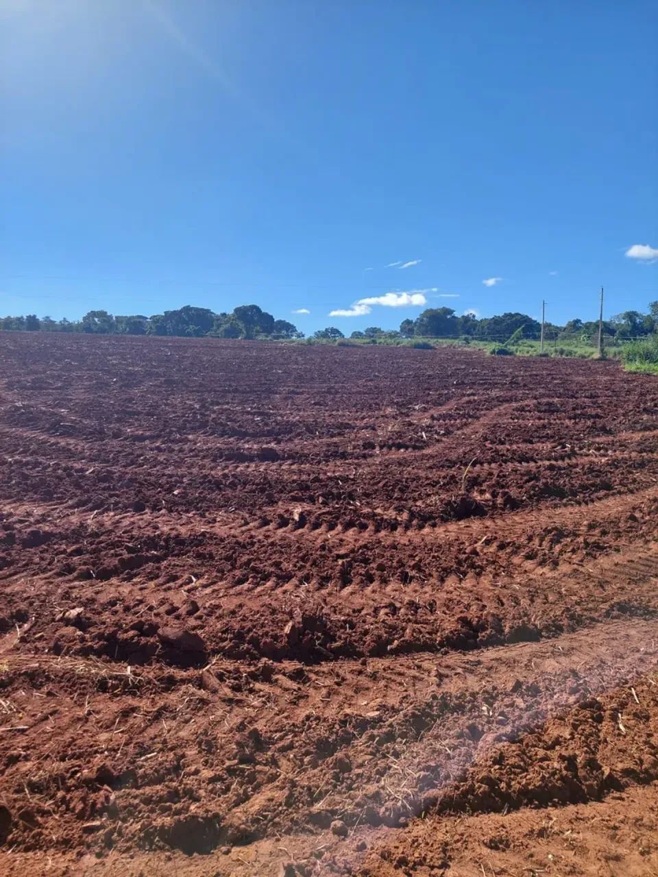 CHÁCARA À VENDA  PIRENÓPOLIS/GO - Foto 5