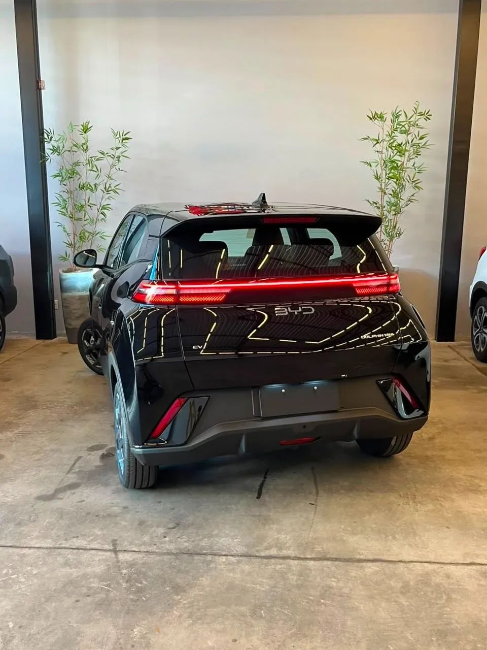 BYD Dolphin GS (Elétrico) 2027 - Foto 4