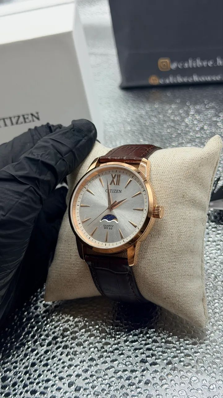Citizen MoonPhase