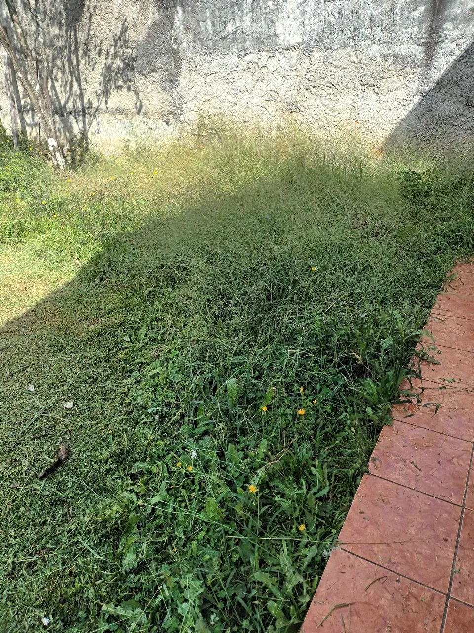 Jardineiro 