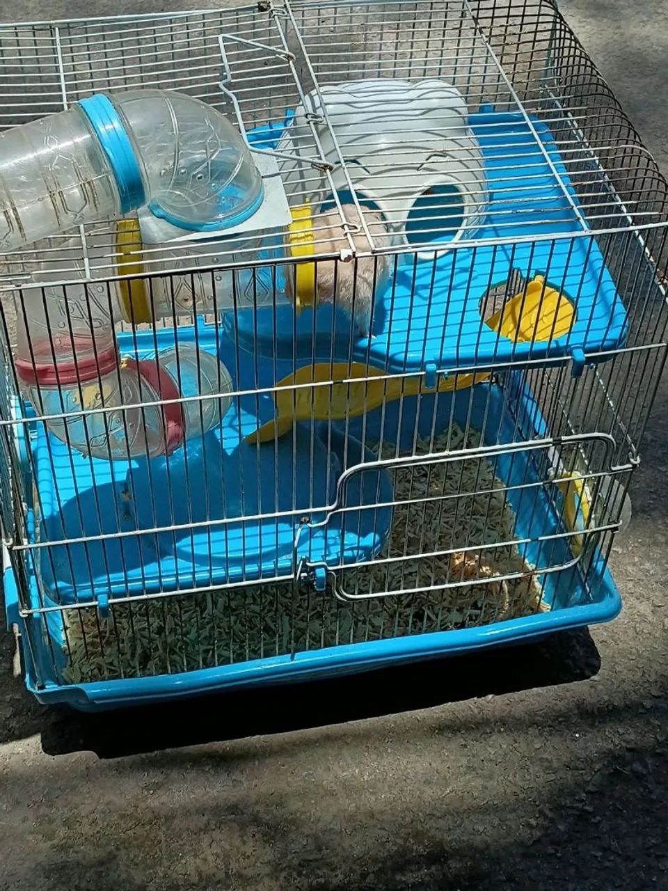 Vende-se Hamster  - Foto 2
