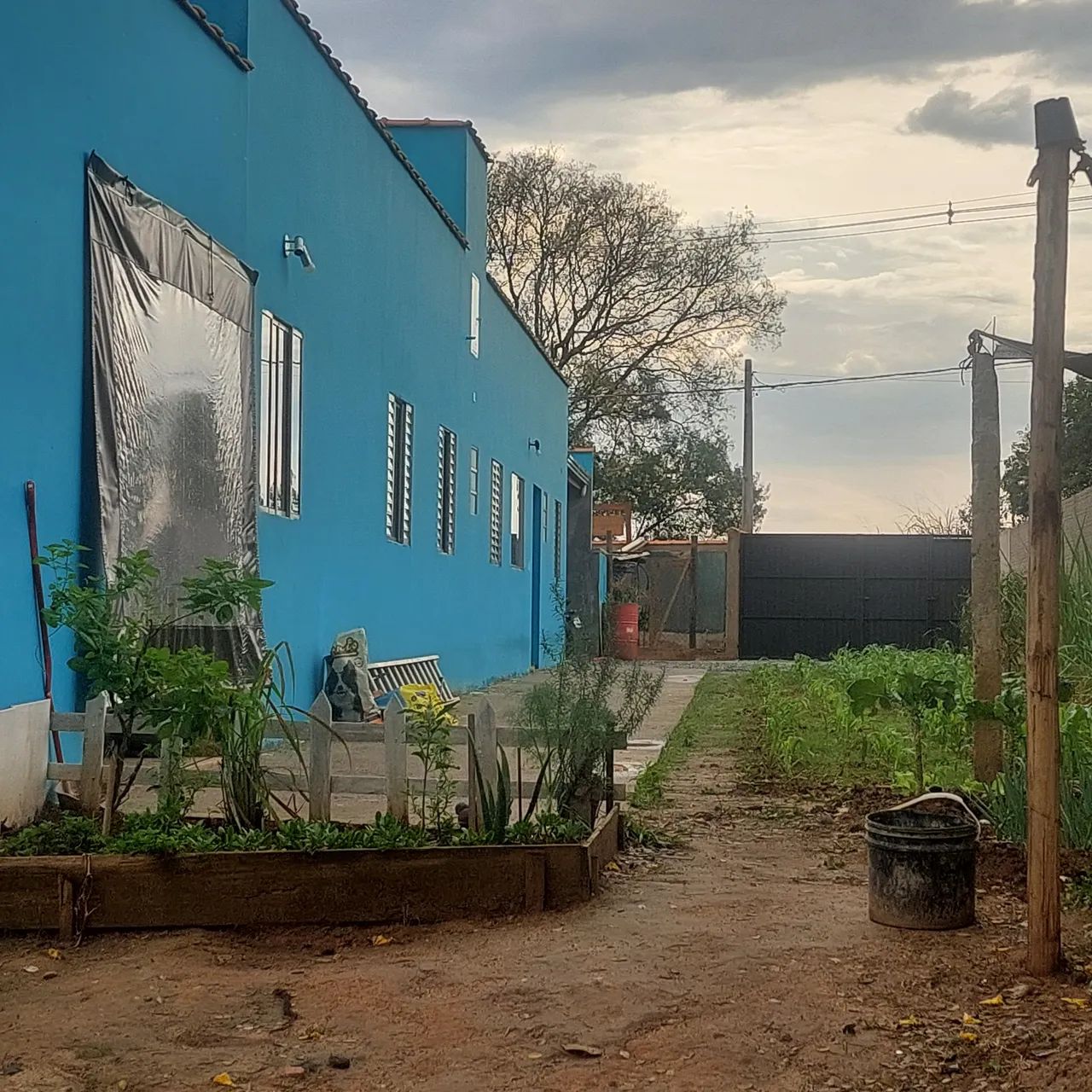 Chácara  - Foto 5
