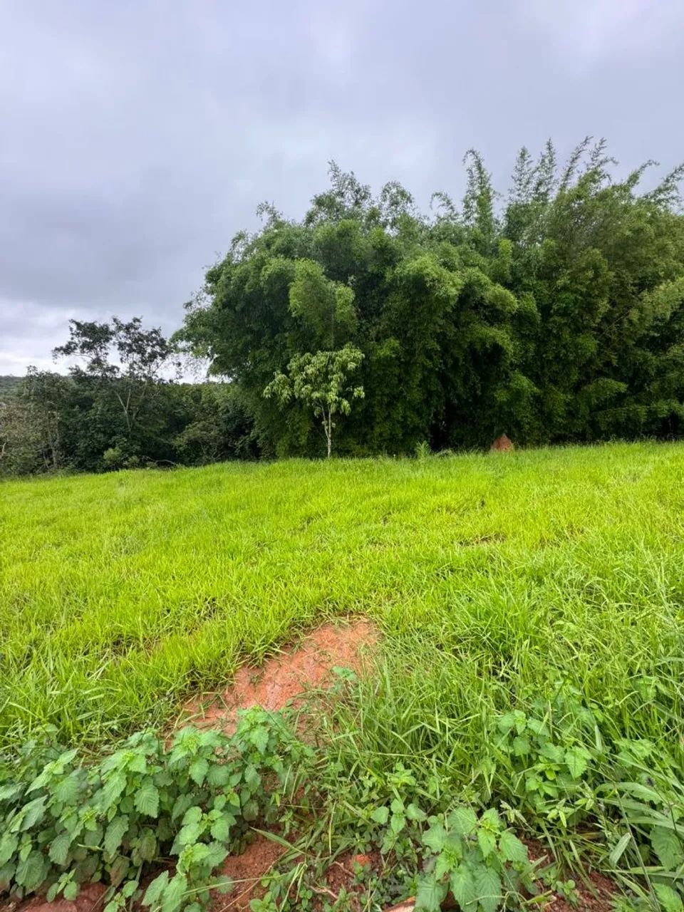 Chacara rural 