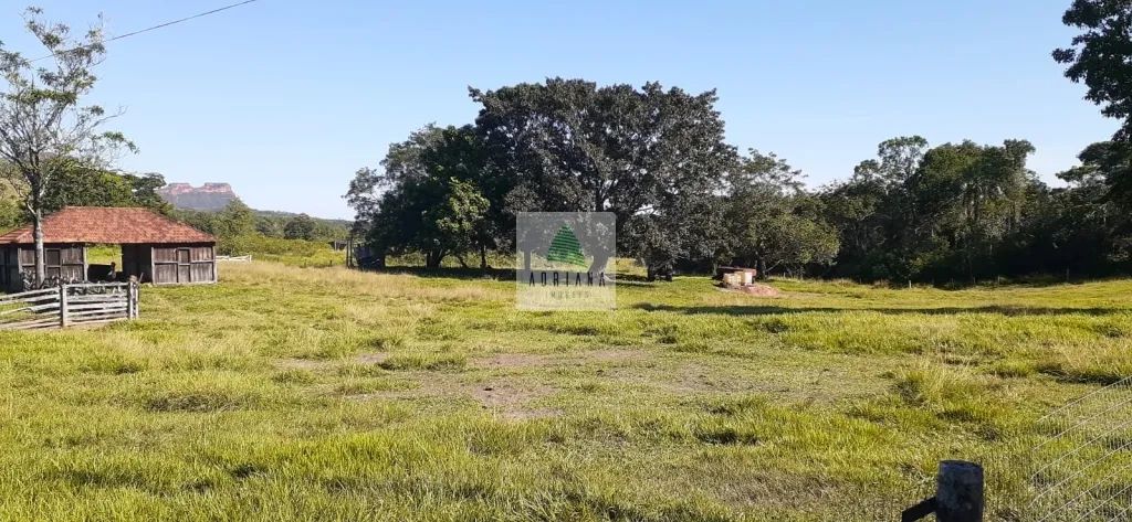 Fazenda com 719 Alqueires - Foto 4