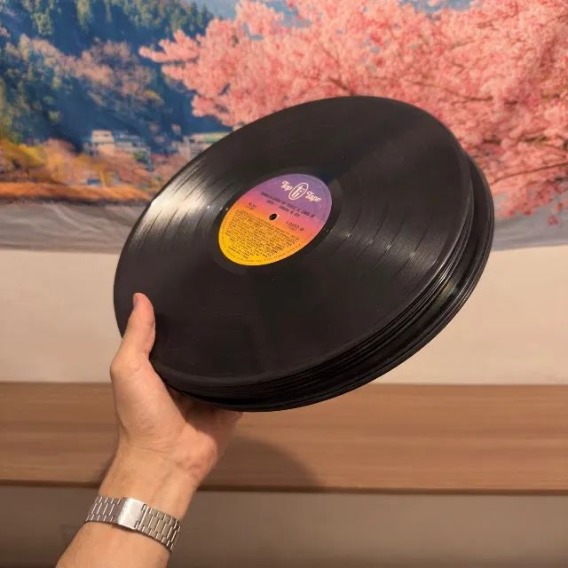 14 Disco de Vinil Aleatorios / LP decorativos 