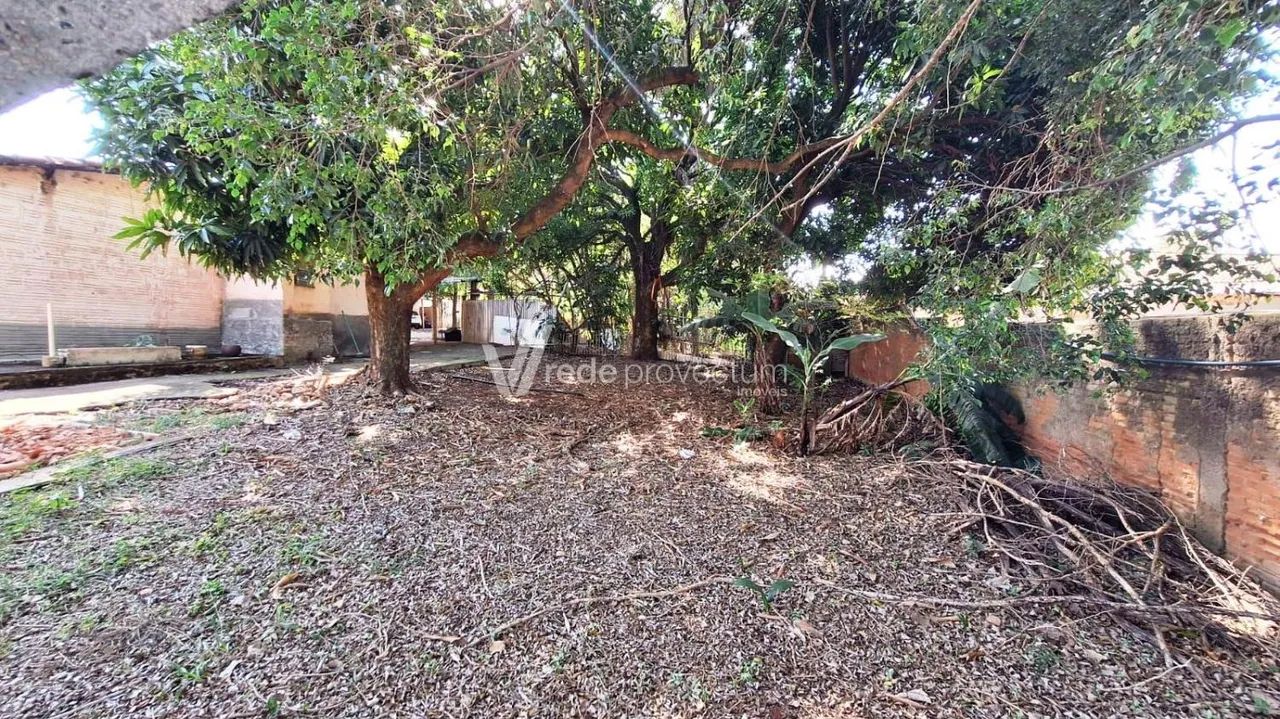 terreno - Parque Taquaral - Campinas - Foto 4