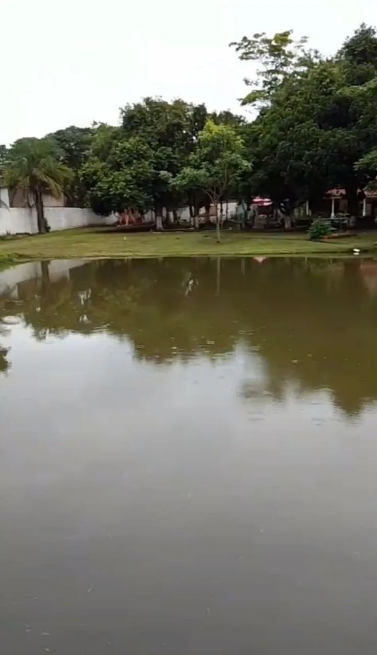 Chácara à venda Goiânia  - Foto 5