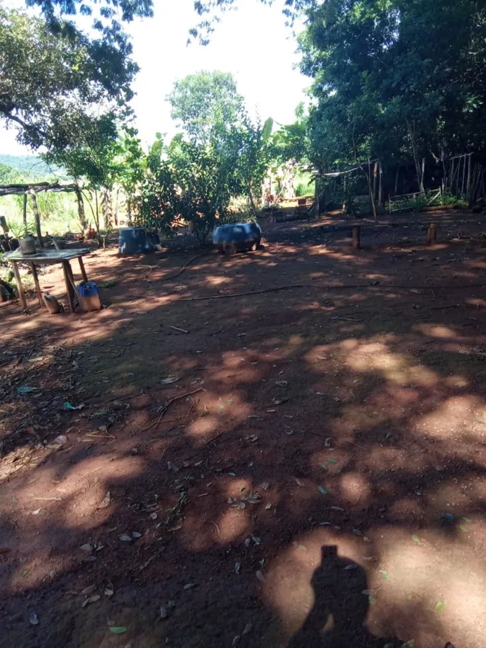 Chácara à Venda em Santa Maria - GO - Foto 2
