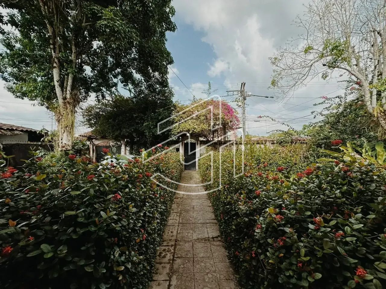 VENDA | CHÁCARA EM MARITUBA - Foto 5
