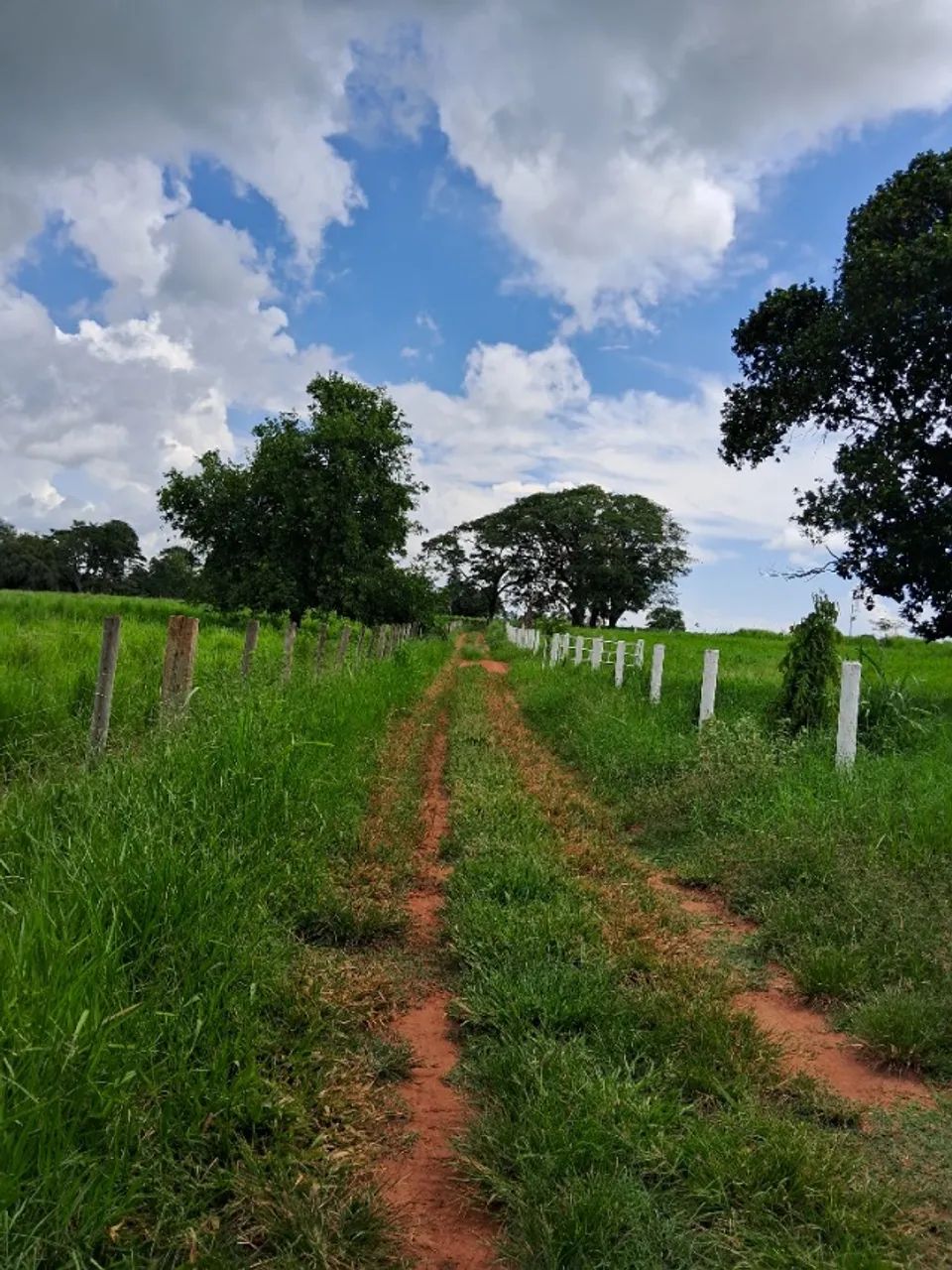 Foto - São José do Rio Preto - Vila Redentora