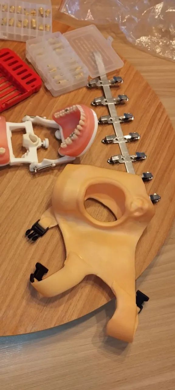 Manequim odontológico  - Foto 4