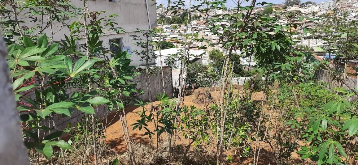 LOTE A VENDA .EXCELENTE OPORTUNIDADE.  - Foto 2