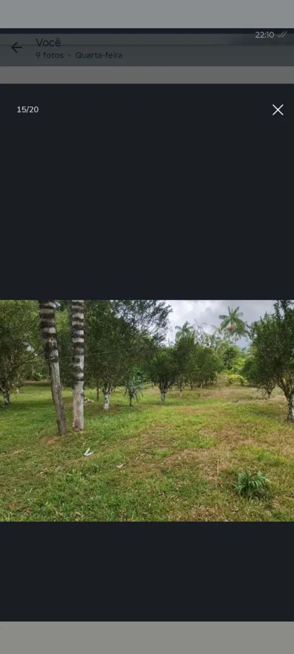 Sitio venda ou troca por casa 