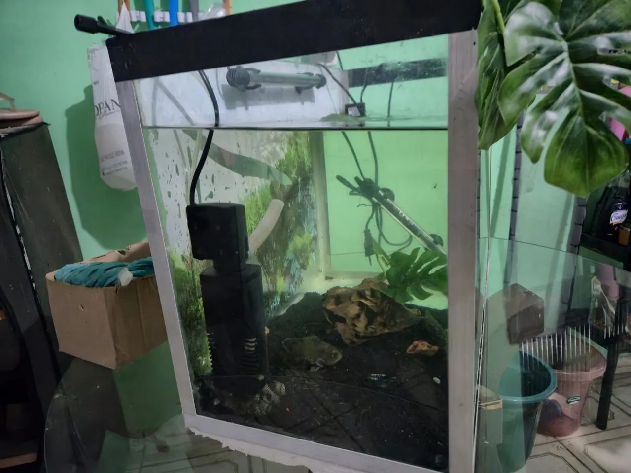 Aquário 60x30x40/ 72lts