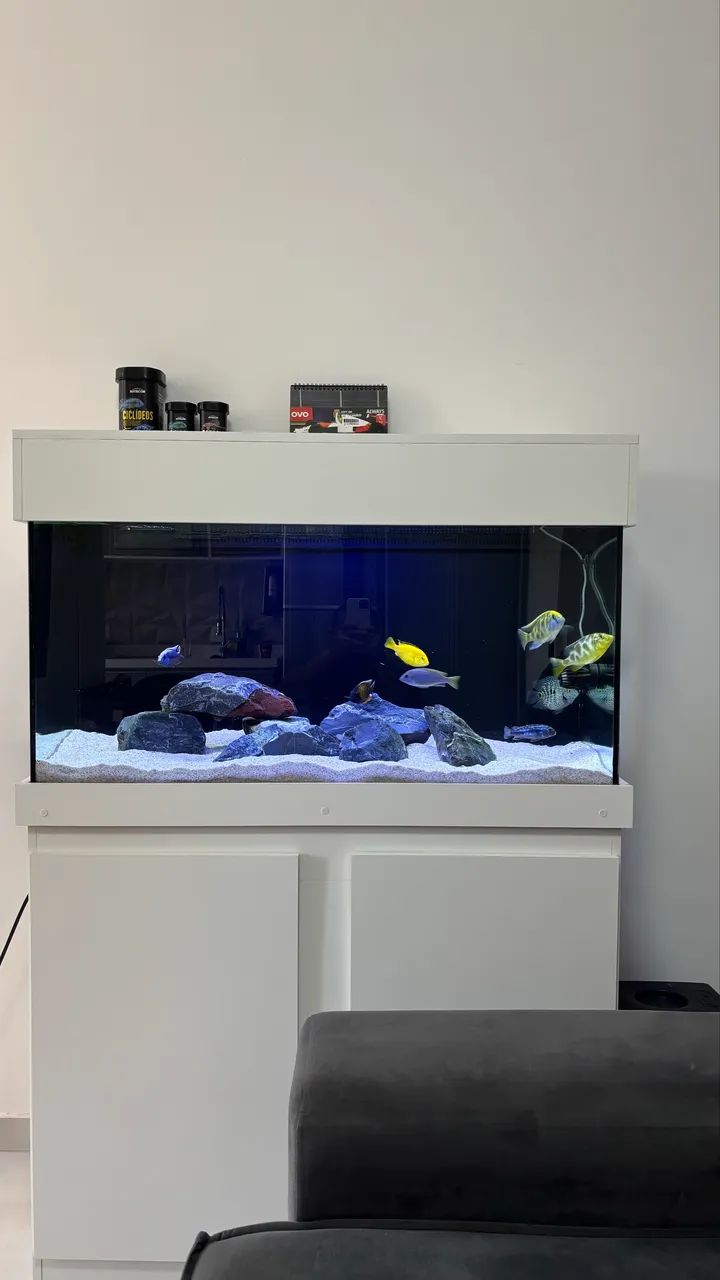 Aquário 200 litros com sump completo - Foto 3