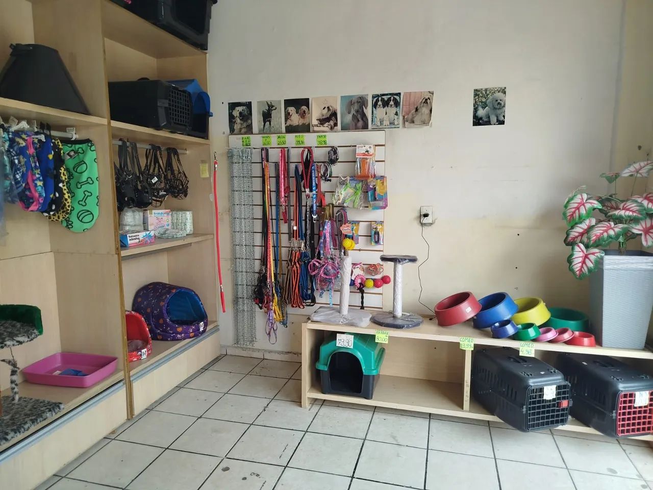 Vendo banho e tosa 15.000 - Foto 4