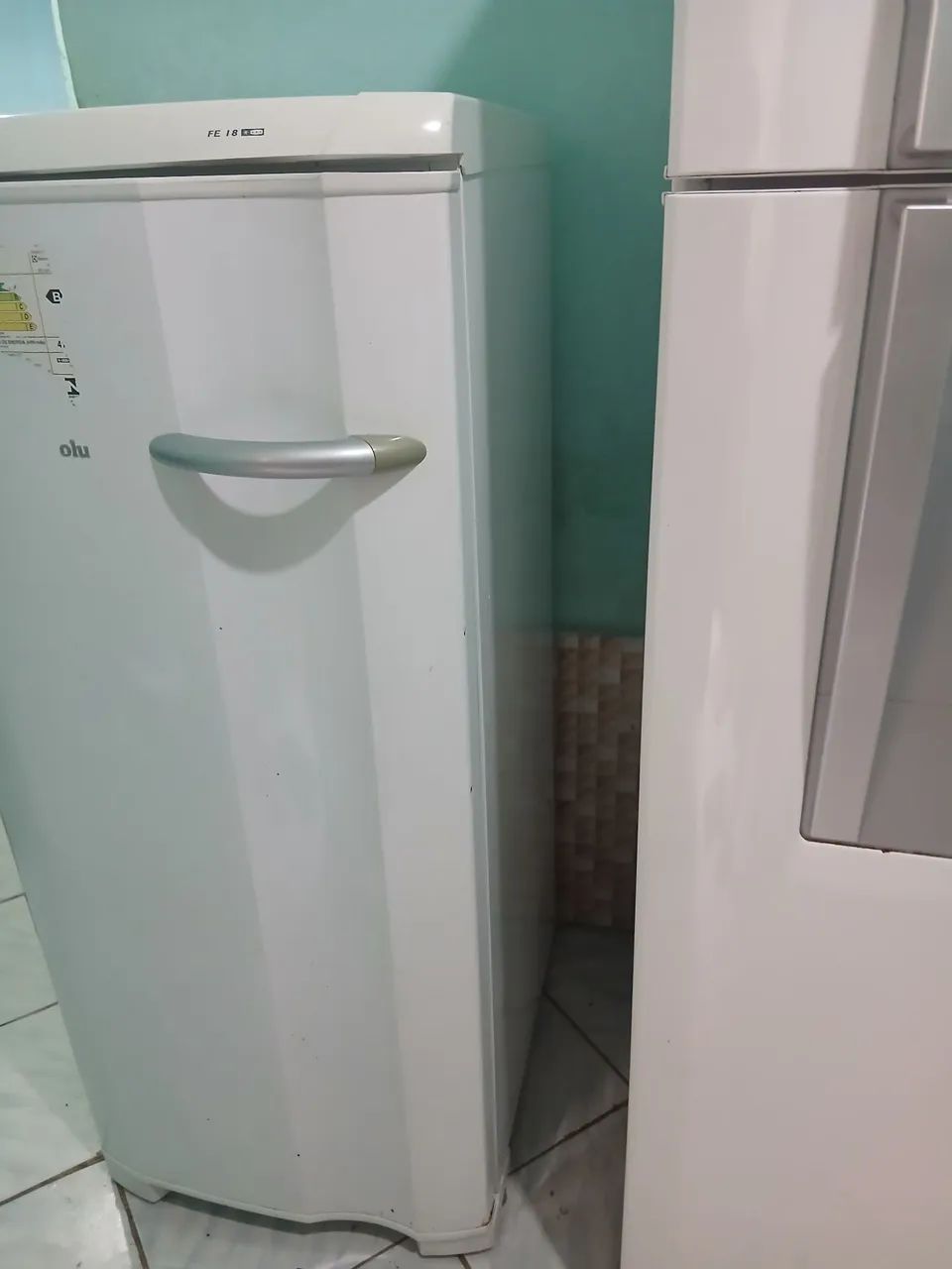 Freezer Electrolux