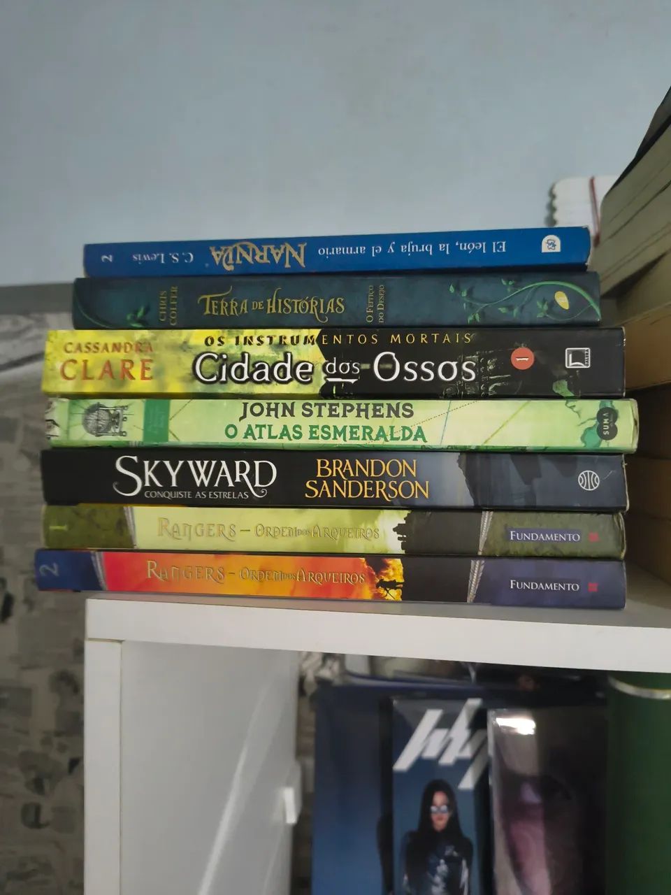 Lote livros sortidos