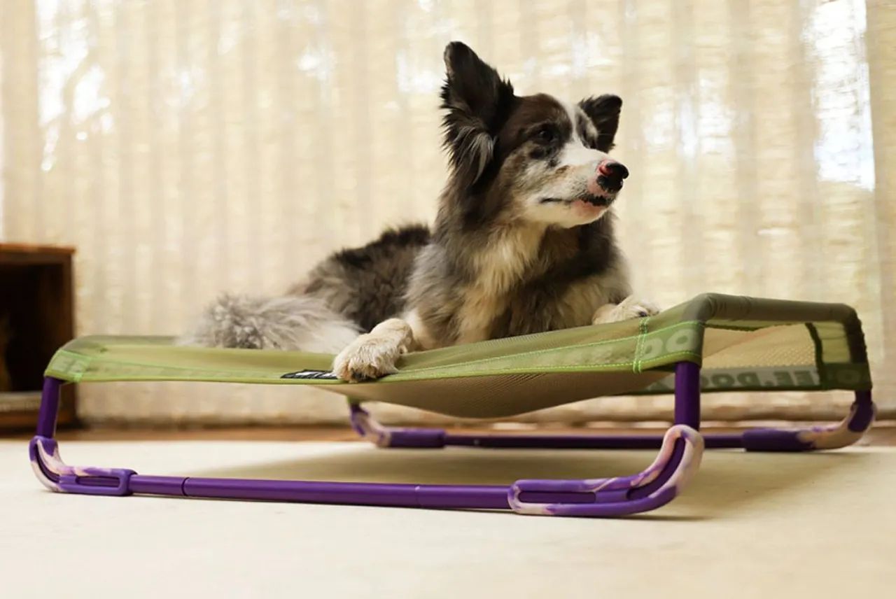 Air. bed nunca usada. Cama para cães (pet). Tamanho G - Foto 5