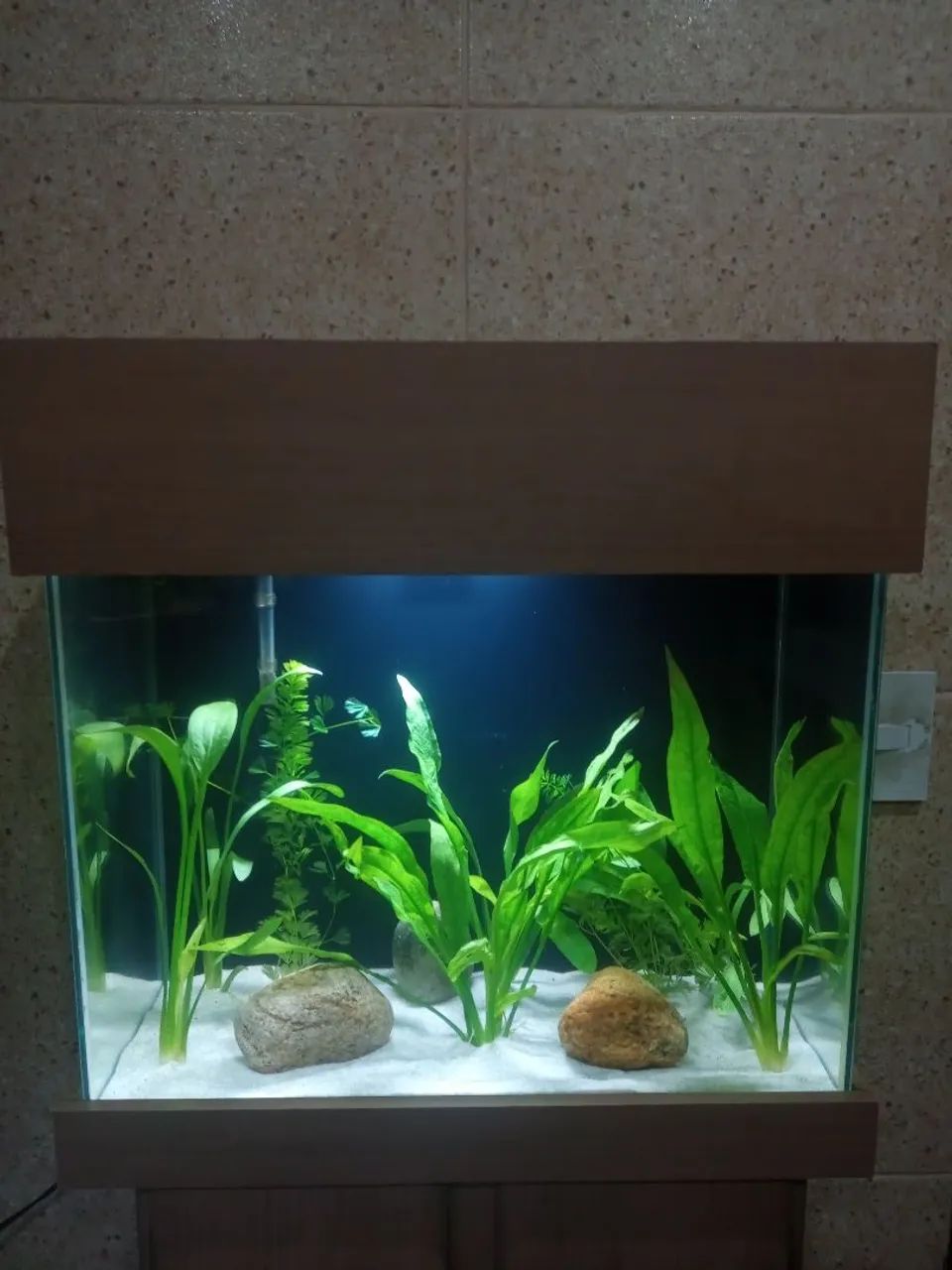 Vendo lindo aquário com móvel completo  - Foto 4