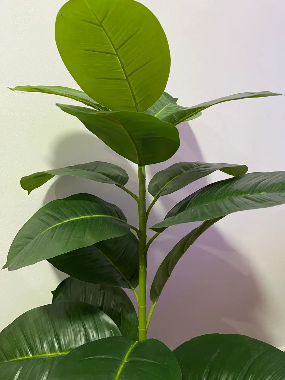 Ficus Lyrata / Planta Artificial  - Foto 4
