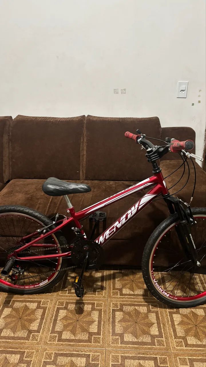 Bicicleta Aro 24
