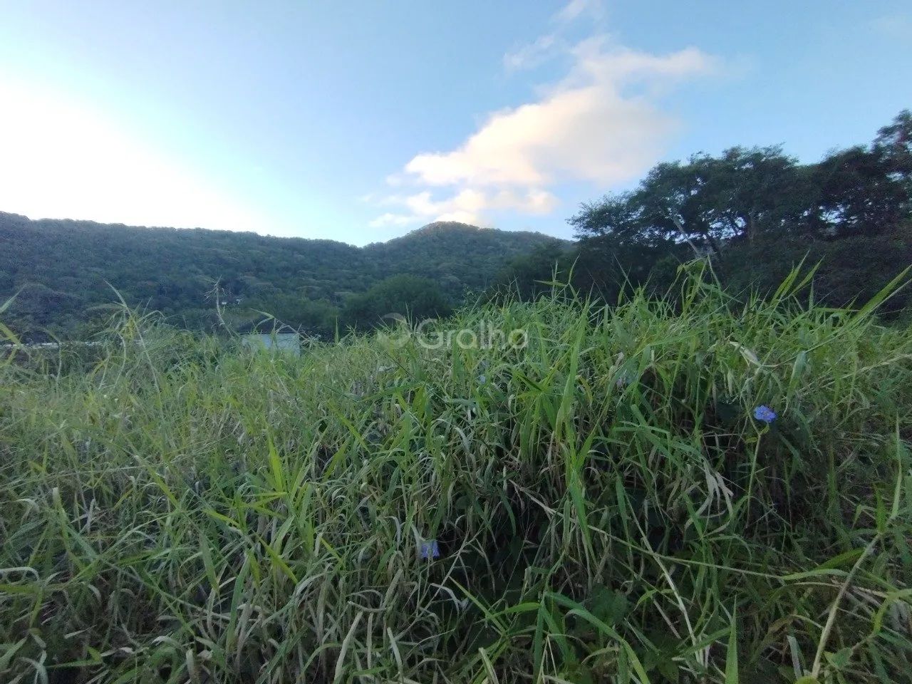 Terreno com 573 m² no bairro Lagoa da Conceição - Foto 5