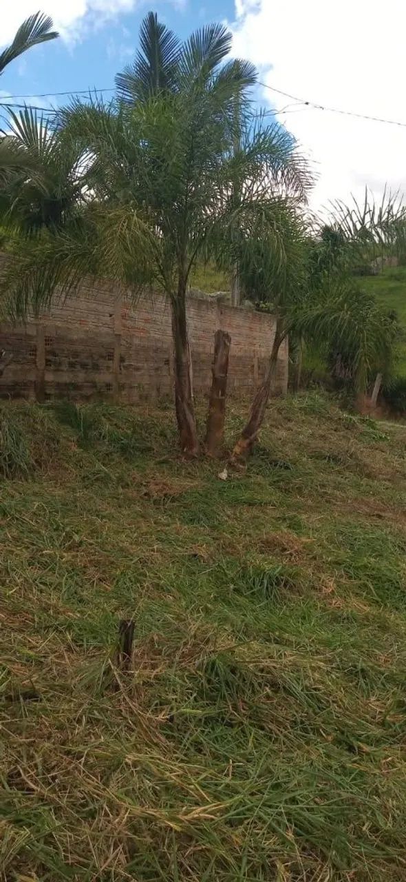 Chácara  - Foto 5