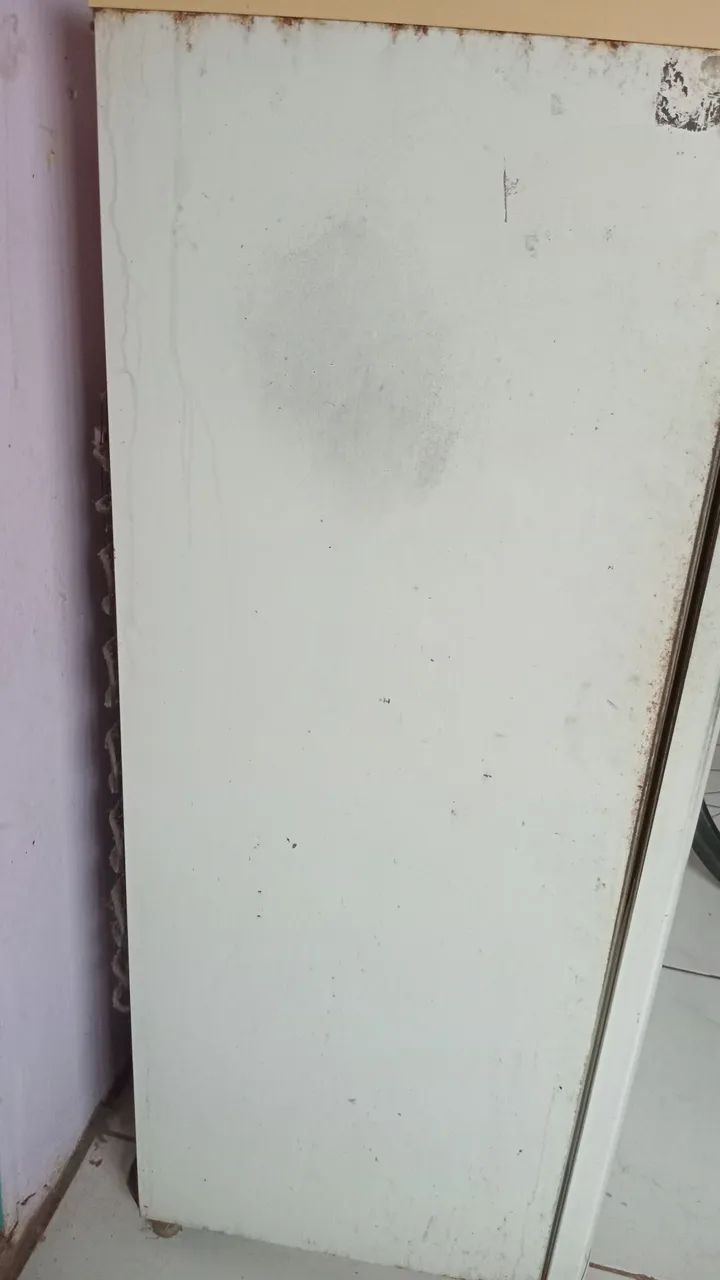 Geladeira eletrolux 