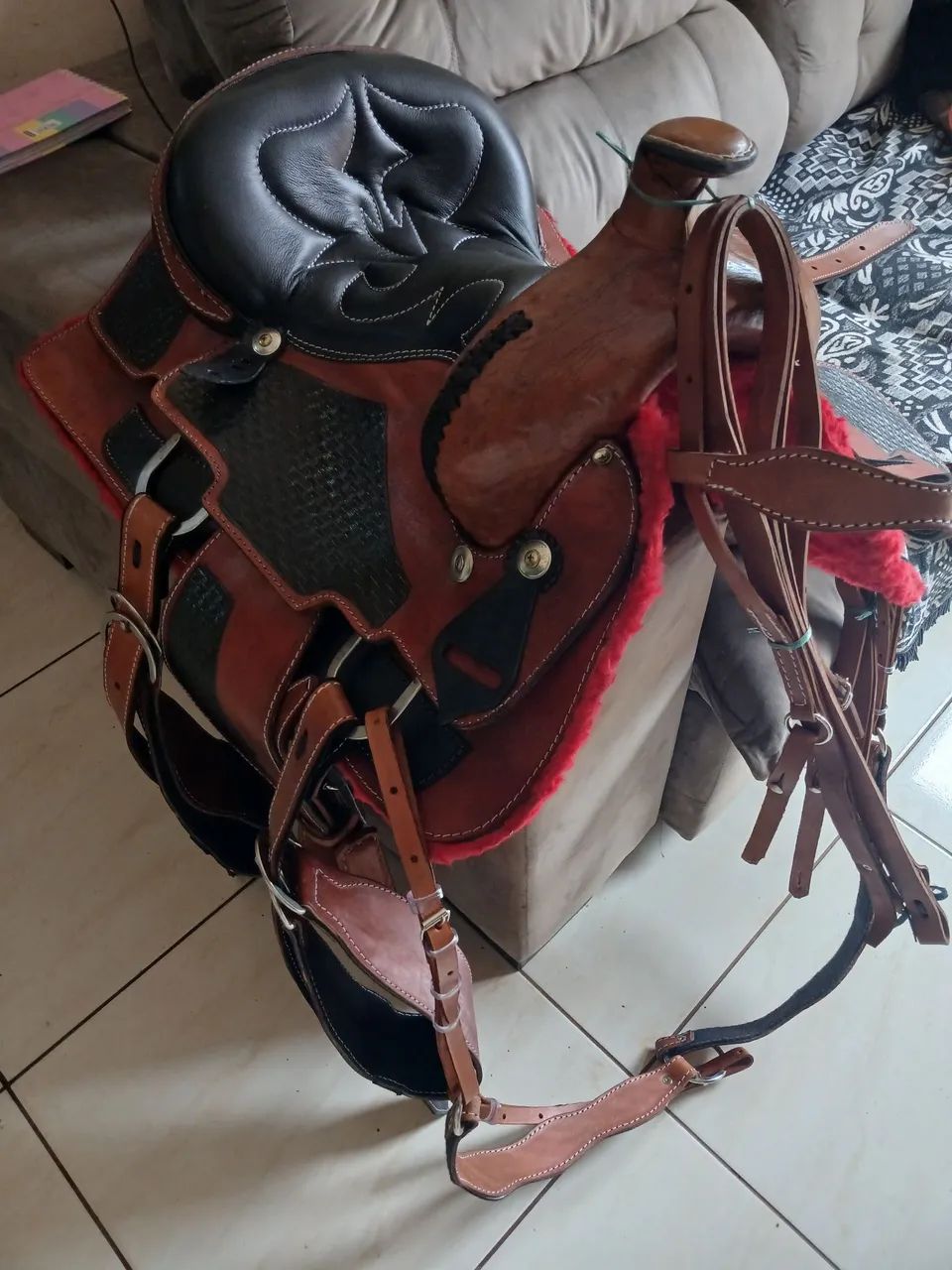Sela americana - Foto 2