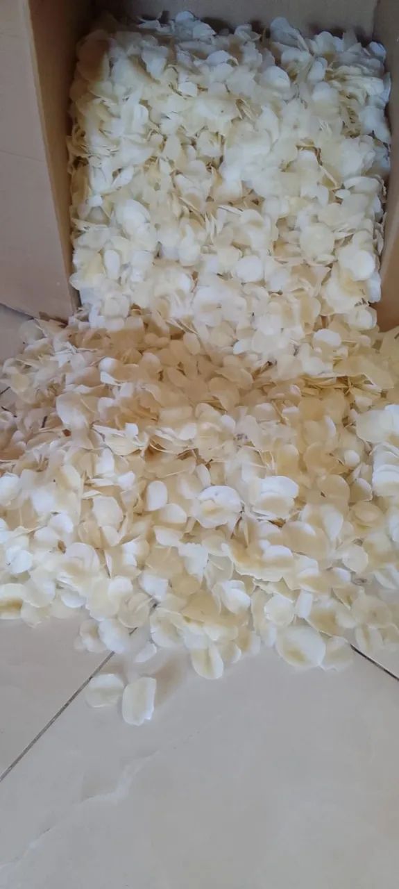 1 Kilo de escamas de peixe Camurupim para artesanatos diversos