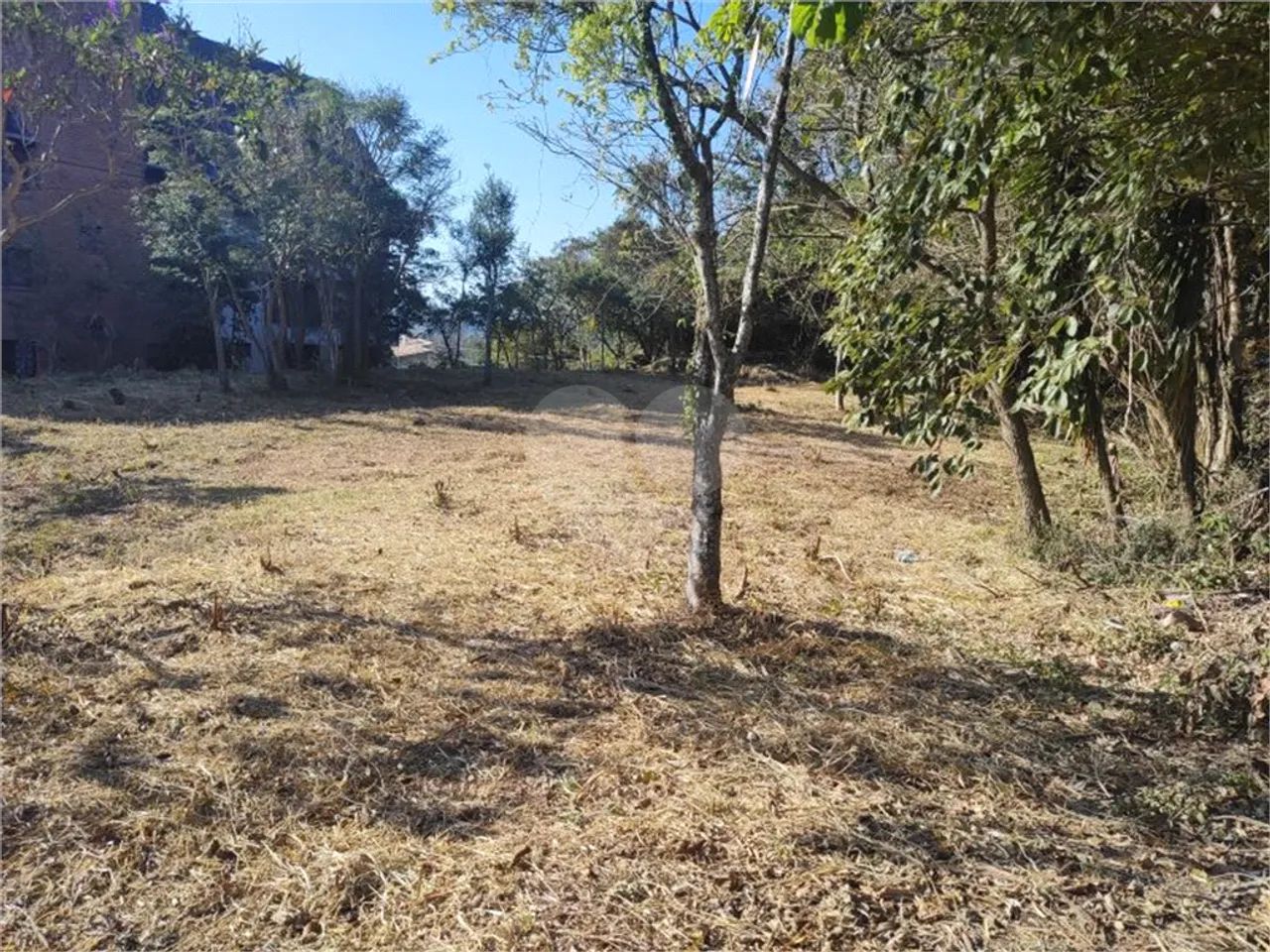 Terreno à venda em Parque arco iris - SP - Foto 5
