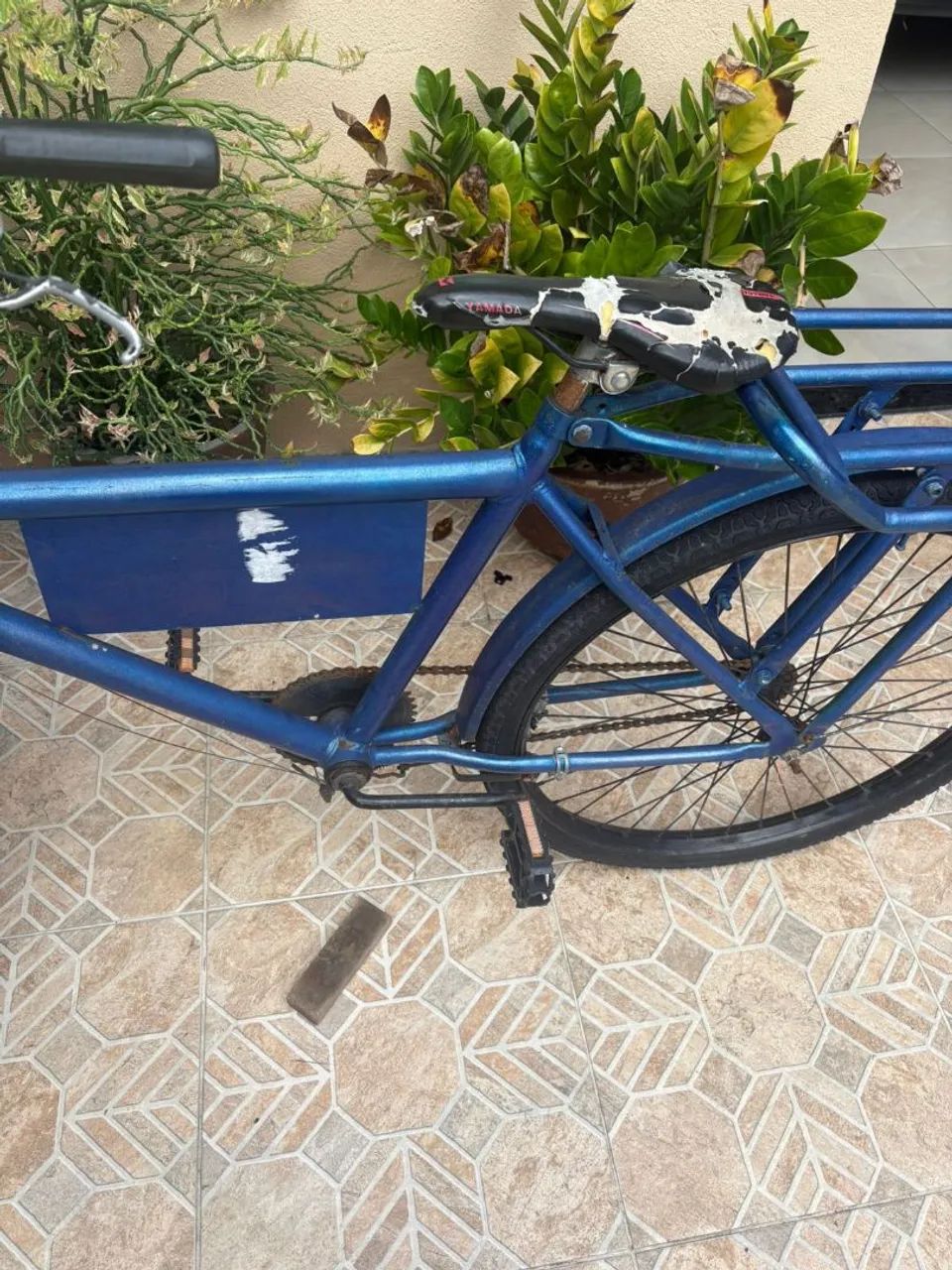 Bicicleta cargueira 