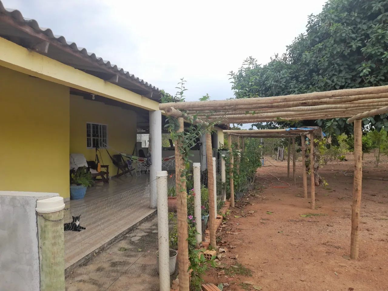 Chácara refugio da águia - Foto 4