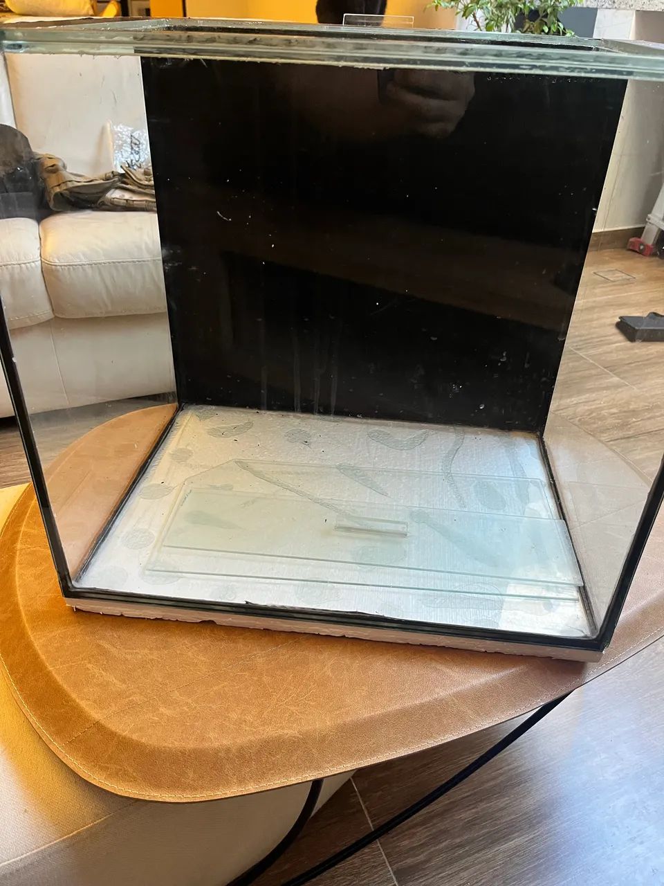Aquário 100L - Foto 2