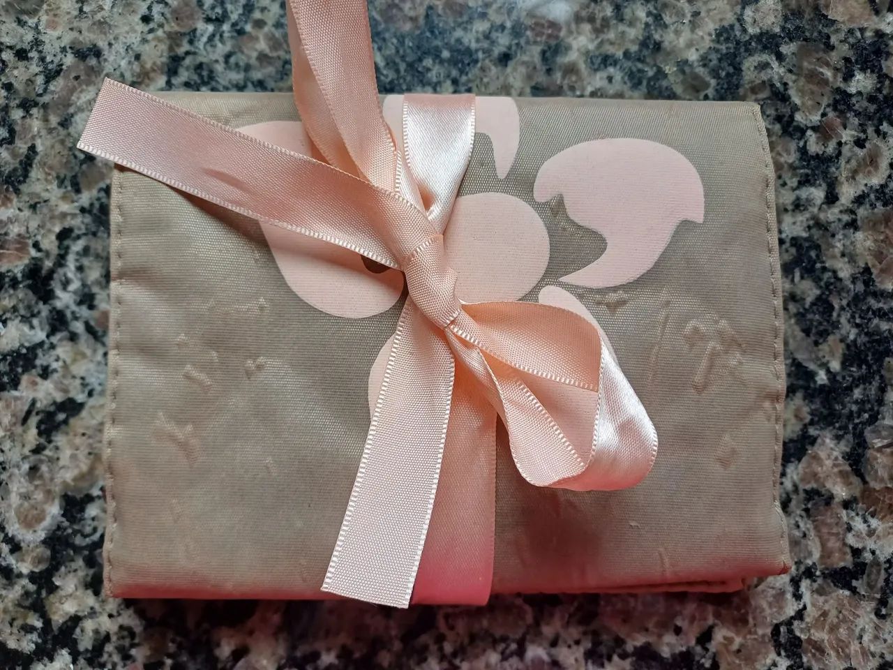 Porta Absorvente novo 