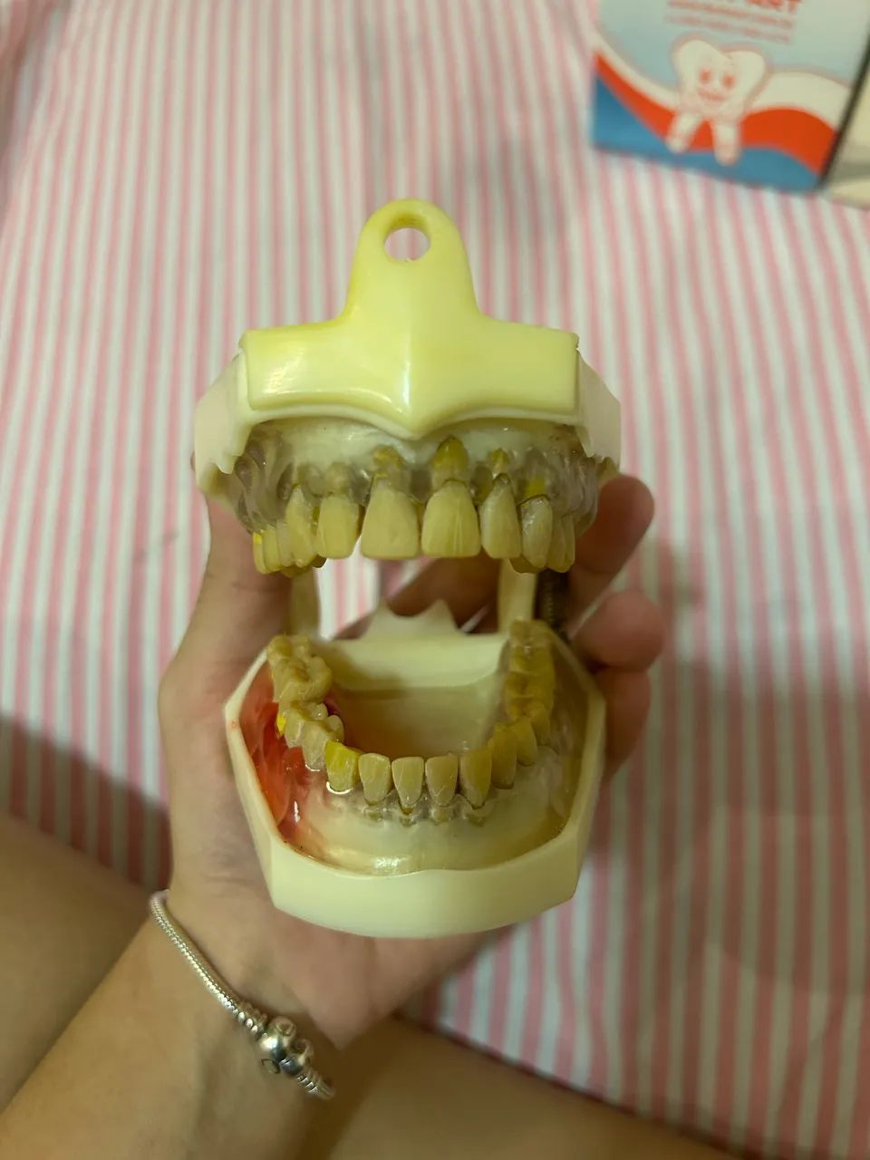 2 Manequins Odontológicos - Excelente Estado - Foto 4