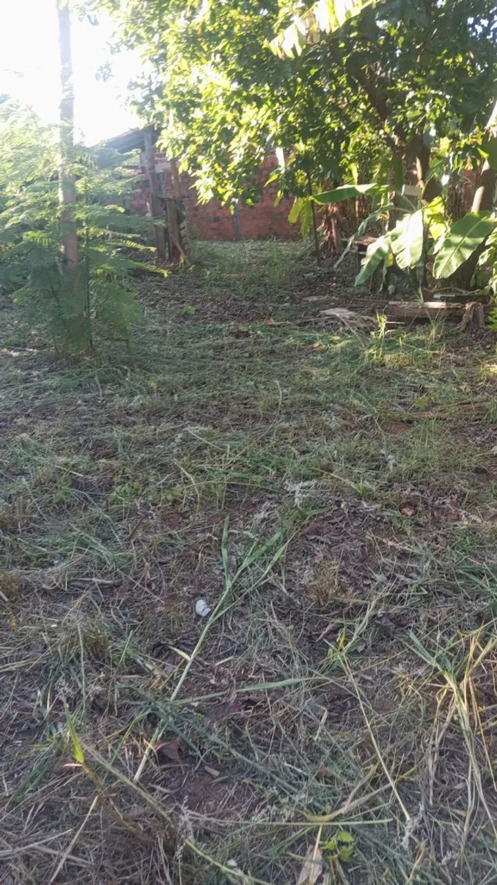 Chácara 1500m com casa Goioerê PR  - Foto 5