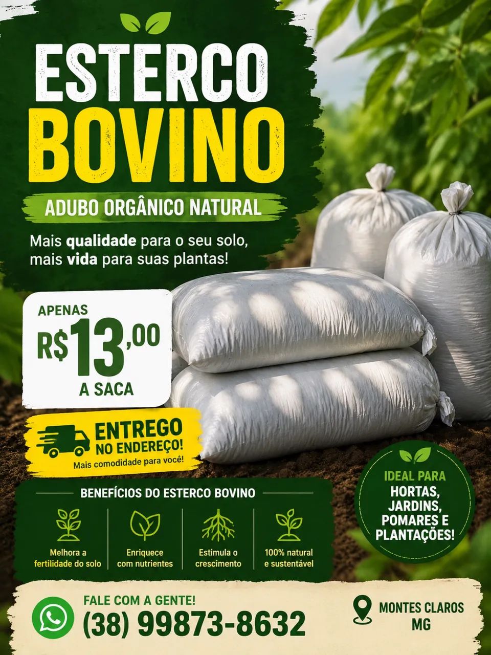 Esterco 